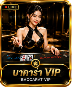 บาคาร่า VIP